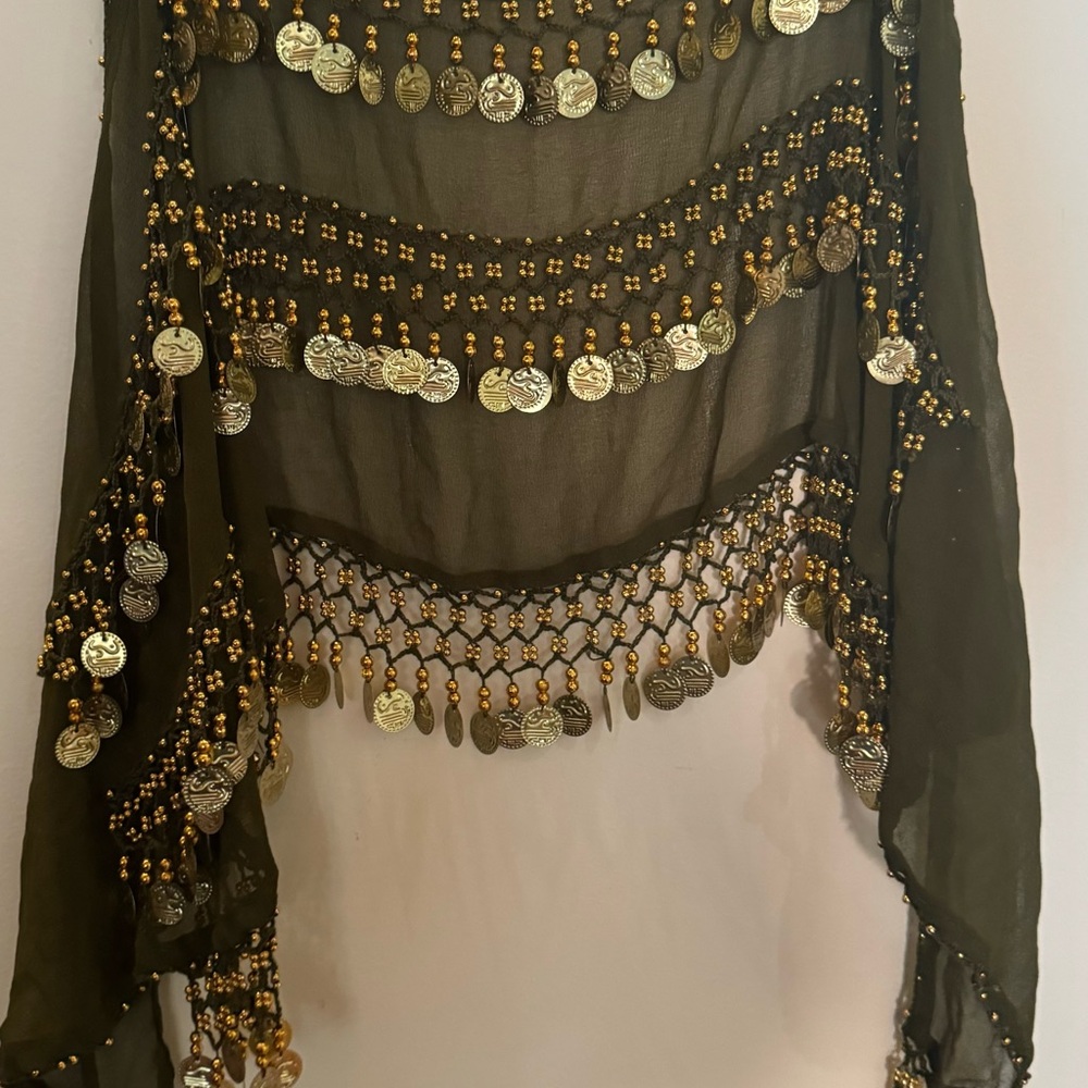 Belly dance coin hip scarf S/M